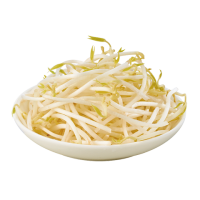 Bean Sprout